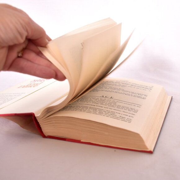 Lord of the Dance by Andrew M. Greeley (1984, Hardcover) - Picture 6 of 11